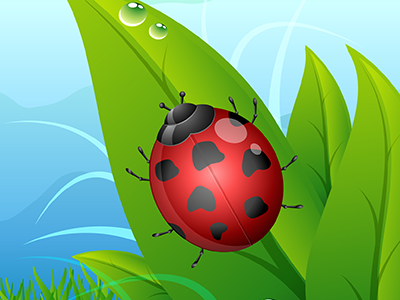 Insecticides & Acaricides